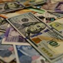 Ekonomi Bakanlığına döviz için yeni yetki