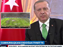 Erdoğan'dan sosyal medyayı sallayan Lyon-Beşiktaş maçı yorumu