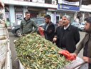 Gulik otu geçim kaynağı oldu