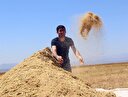 400 bin lira gelir getirecek