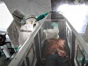 Ebola virüsü spermde iki yıl yaşayabiliyor
