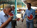Karpuzcunun kelek bulana 'altın' vaadi işleri ikiye katladı
