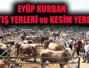 İstanbul Eyüp kurban kesim yerleri! Eyüp kurban satış yerleri!
