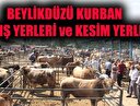 İstanbul Beylikdüzü kurban kesim yerleri! Beylikdüzü kurban satış yerleri!