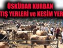 İstanbul Üsküdar kurban kesim yerleri! Üsküdar kurban satış yerleri!