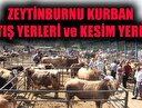 İstanbul Zeytinburnu kurban kesim yerleri! Zeytinburnu kurban satış yerleri!