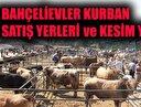 İstanbul Bahçelievler kurban kesim yerleri! Bahçelievler kurban satış yerleri!