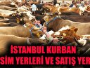 İstanbul kurban kesim yerleri! 2018 İstanbul kurban satış yerleri
