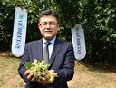 Fındık Sakarya'da 'yok yılı'nda da güldürdü