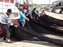 Karadenizli balıkçıların av sezonu başladı