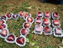 Hobisini mesleğe dönüştürdü