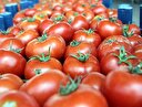 Rusya'dan 'domates' açıklaması