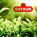 'ÇAYKUR Brezilya pazarında yerini alacak'
