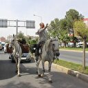 Atlı gezgini Diriliş oyuncusu sandılar