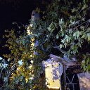 Beykoz'da asırlık çınar ağacı caminin üzerine devrildi