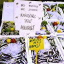 Karadeniz'de balık bolluğu