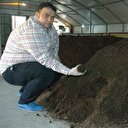 Siyah altından yılda 60 bin lira kazanıyor