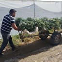 Yılda 20 milyon TL kazanç sağlıyor