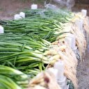 Eylül ayının zam şampiyonu yeşil soğan