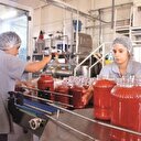 Domatesi kazanca
dönüştüren yatırım