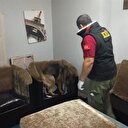 İstanbul'un 3 ilçesinde uyuşturucu operasyonu