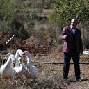 Uludağ eteklerinde 'Çin kazı' üretilecek