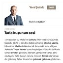 Tarla kuşunun sesi