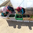 Orman köylüsüne 2,5 milyon TL’lik destek