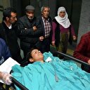 Ağrı'da kuşu kurtaran çobanın elleri kesildi