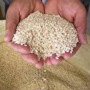 Bakliyat kralı iflas etti