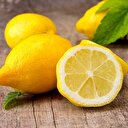 Günlüğü 60 liralık yolculuk