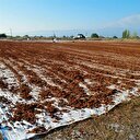 Salçadan geriye kalanı kurutup satıyor