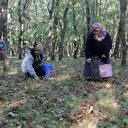 15 güne 6 bin TL kazandılar