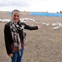 İşsizdi köyde kurduğu kaz tesisiyle kendi işinin patronu oldu