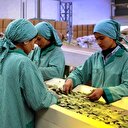 128 milyon dolarlık ihracat yapıldı