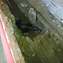 İstanbul'da altyapı kazısında kemik parçaları bulundu