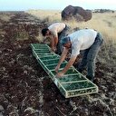 Suriye'ye kaçırmak istediler, 420 bin TL ceza yediler