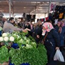 Sebze ve meyve hortumcuları