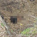 Bolu'da vahşet: Önce bıçakladı ardından yaktı