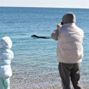Antalya'da görüntülendi: Nesli tükenme tehdidi altında