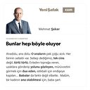 Bunlar hep böyle oluyorlar