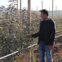 Taşlı tarladan servet kazandı