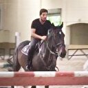 Reza Zarrab'ın İngiliz atı devlete kaldı