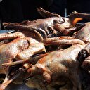 Tanesi 150 liradan anında satılıyor