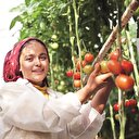 GAP KOBİ’leri seraya döndü