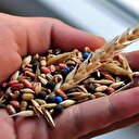 76 ülkeye satıldı