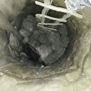 Define avcıları suçüstü yakalandı