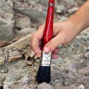 Kuğu, ördek, deve kuşu karışımı yeni dinozor türü keşfedildi