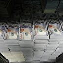 Merkez'in kasasında 114.2 milyar dolar var