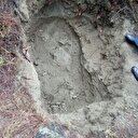 Köylüler şikayet etti: Kazarken yakalandı